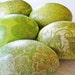 Spring Green Easter Eggs Green Easter Eggs Old World floral leaves cream and green