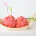 Individual French Ice Cream Boats w/Miniature Wooden Spoons - 48 piece