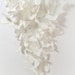 200 Large Paper Butterflies - White Cardstock
