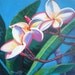 Rainbow Plumeria 2 Original Acrylic Painting by Marionette from Kauai