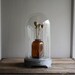 vintage display dome