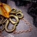Genus Octopus.- Yonic Vagina Pendant, mature