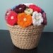 Crochet Flowers in Pot, African Violets or Rainbow