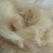 Angora Rabbit English Fiber Natural Color Assorted Multi-Color Gray, Chestnut, Cream Loose Approx 1 ounce spin craft