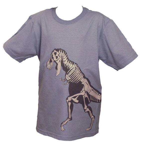 CLEARANCE SALE Kids' T-Rex ShirtSky Blue Organic