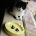 VINTAGE bright Yellow handmade ceramic ashtray with Two Frogs