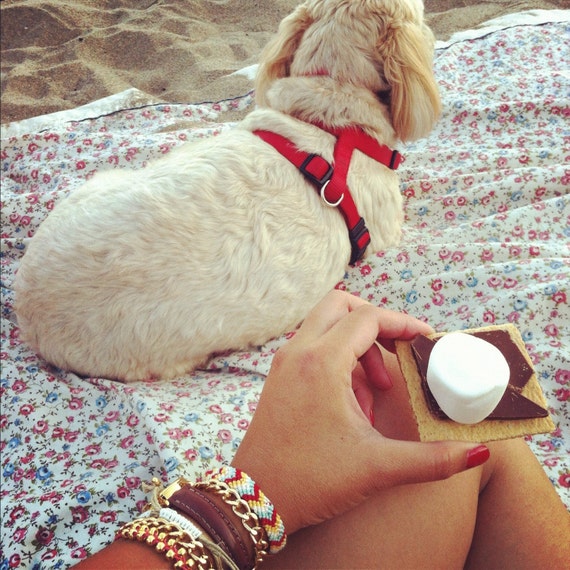 DIY KIT Eco Arm Candy Friendship Bracelets