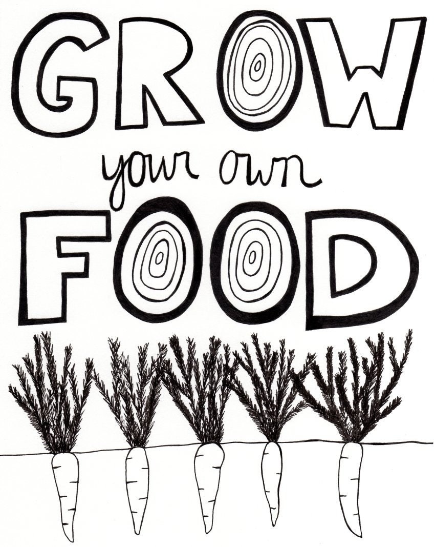 Grow Your Own Food art print