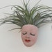 Goddess of Good Hair Face Wall Planter