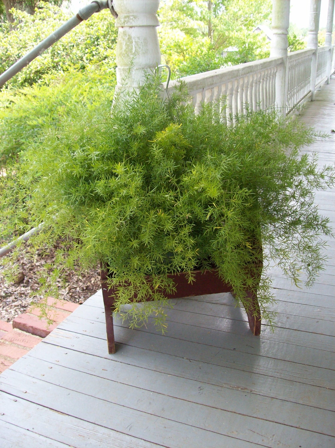 Vintage Wooden Box Planter Garden Decor Fern Stand Primitive
