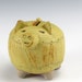 Wood Texture Yellow Piggy Bank