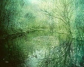 Forest Photography, woodland photograph, dark green color winter stream - Mystic River - Fine Art Nature Photography 5x7 photograph
