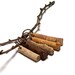 Ancient Crinoid Stems - Drilled Authentic Fossils - Pendants Charms Jewelry Components - "Branch Out" by Stone