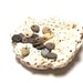Drilled Beach Stones Pebbles Supply - Jewelry Beads Organic Charms diy - "Tiny Tots" by StoneMe