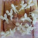 twelve miniature plastic angels