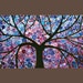 Holiday Sales: Original Modern Abstract Heavy Texture Impasto Acrylic Painting Landscape Tree Branches Wall Decor "Sweet Evening"