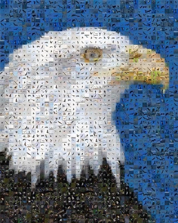 Items similar to American Bald Eagle Mosaic Montage 8 x 10 Art Print ...