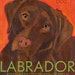 Labrador No. 2 - Chocolate lab 2x3" magnet from original oil painting