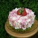 Reserved Listing For Jessica - Flower Petal Cake Pink Cream and Green with Strawberries