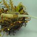 Bird Nest Christmas Decoration Gold Unique Bling Believe