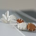 Form Studs - Porcelain and Terracotta