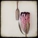 Protea with fork mini print