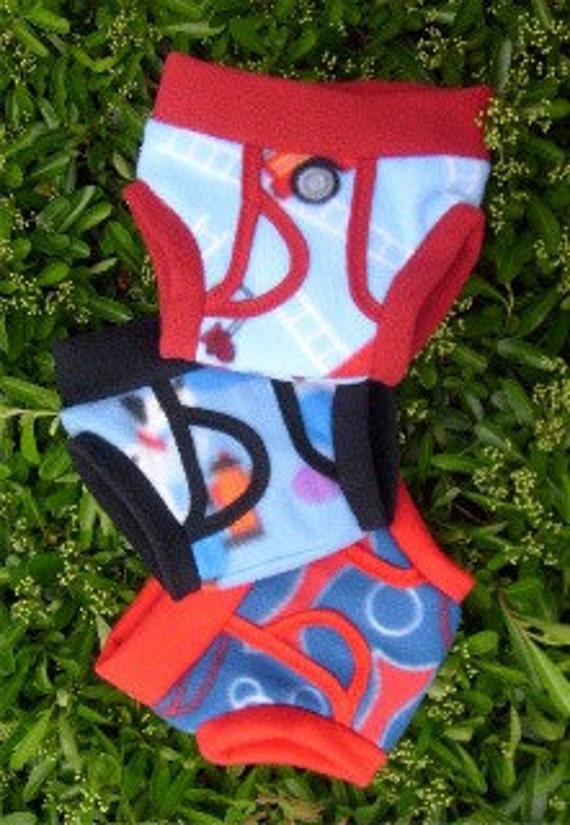 Big Boy Britches Nighttime ReUsable Training Pants