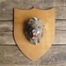 RESERVED for Michele // vintage c. 1950s Lion Cub Scout folk art wall hanging