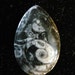 Ammonite cabochon