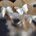 Wax Paper Garland French Butterflies