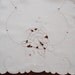 Vintage Madeira Table Runner Hand Embroidered Roses