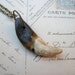 Coyote Canine Tooth Necklace Pendant