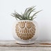 Stoneware Owl Planter