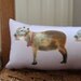 Capybara Pillow: PREORDER