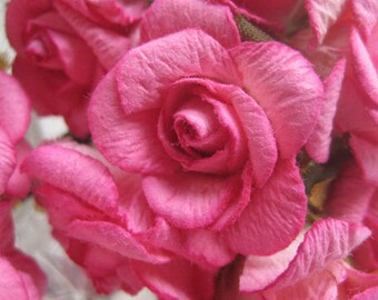 Paper Flowers 24 Large Millinery Old Fashioned Roses In Fuchsia