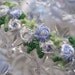Pale Blue Venise Lace Rosebud Trim Edging 1 Yard