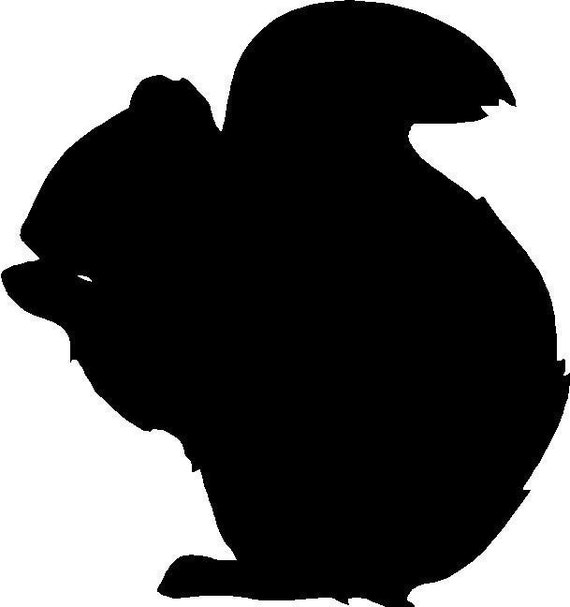 to ask unique questions BubbaAndDoodle Squirrel Decal Cute BLACK by Vinyl Silhouette