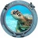 Peek-A-Boo - Sea Turtle Porthole.... - Vinyl Decal