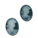 Resin Cameo black oval cabochon 18x25mm