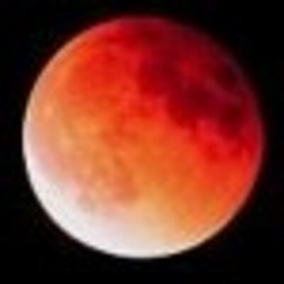 Moonblush Designs