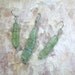 Green Kyanite Translucent Stones Sterling Silver Wire Pendant and Earrings Set