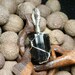 Black Tourmaline Schorl Crystal Sterling Silver Wire Pendant