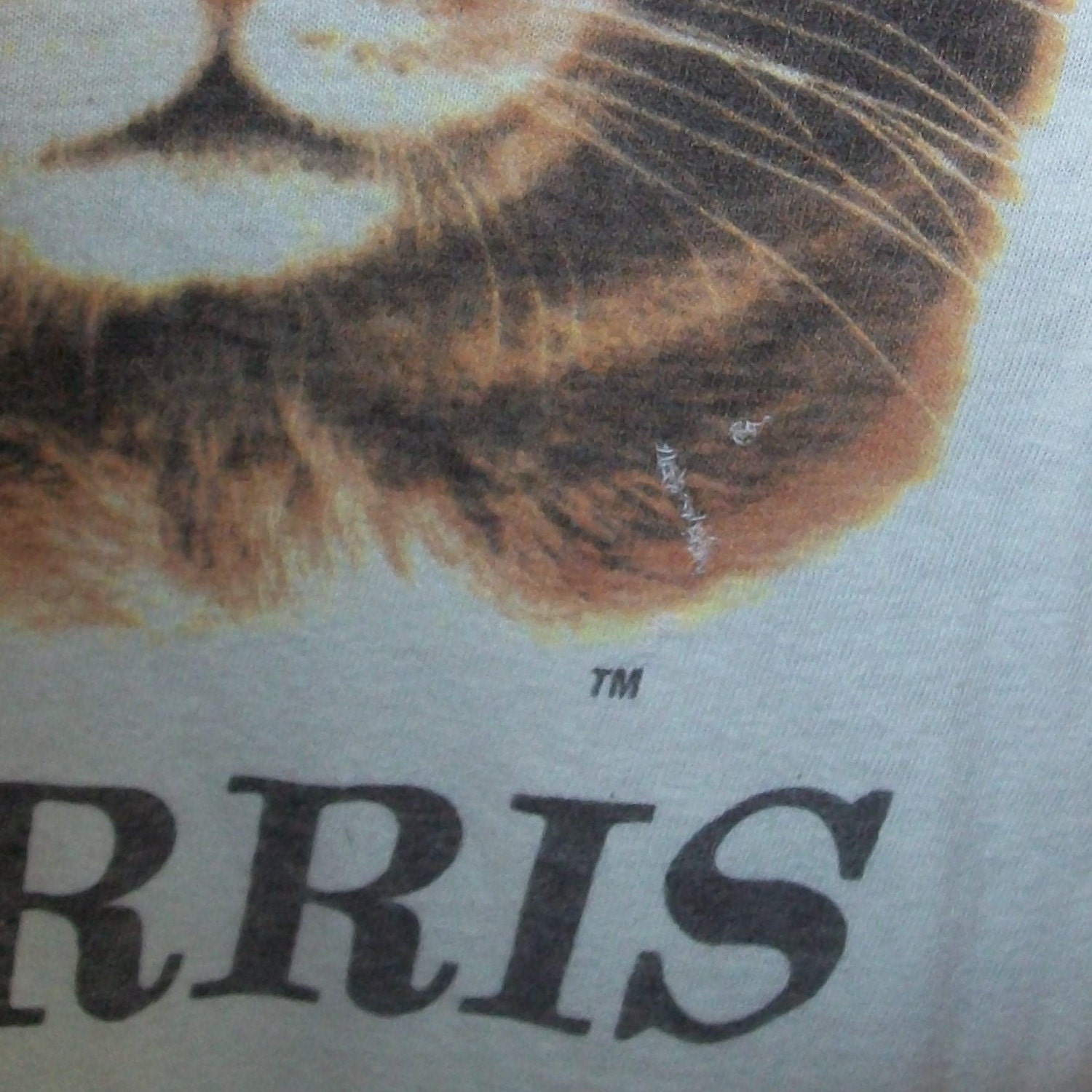 morris the cat t shirt