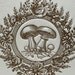 Vintage Mushroom in Brown