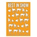 Greeting card Best in Show 4x6 inches