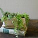 White Planter Modern Vintage Frankoma Planter