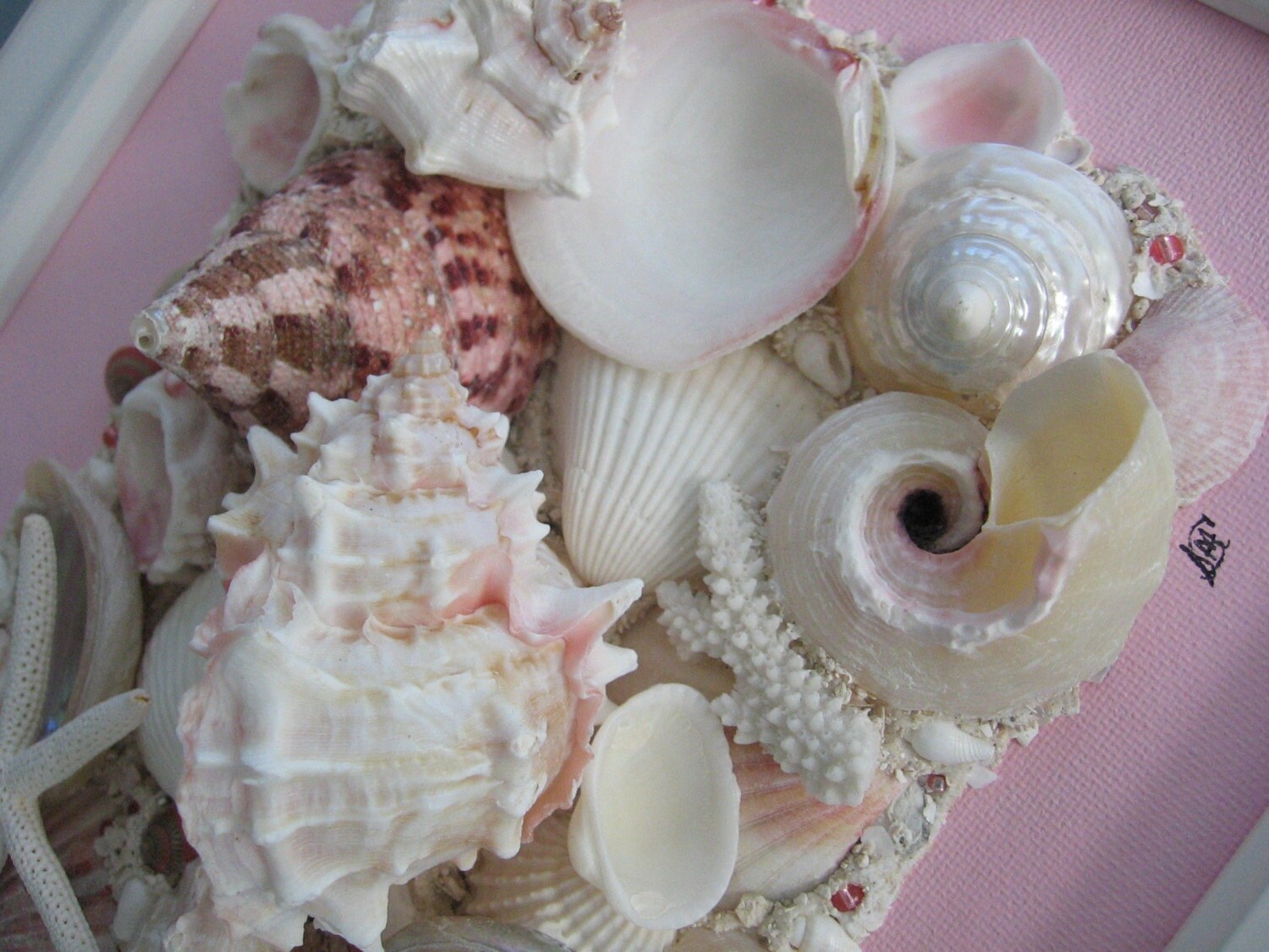 Original Framed Seashell Art Collage on Canvas in Pink White