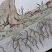 9 x 13 Poster - Mycorrhiza Illustration