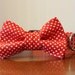 Bowtie Dog Collar - Puppy Love Bow Tie
