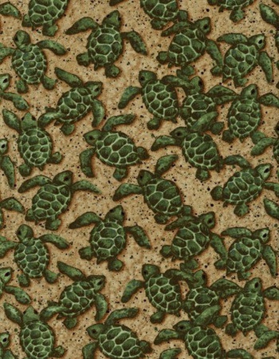 Baby Turtles fabric TTC3172 by scruffyquilts on Etsy